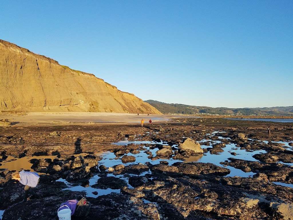 Pillar Point Bluff Parking Lot | Airport St, Moss Beach, CA 94038, USA