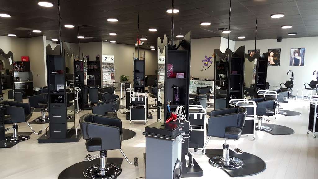 Iris Salon | 3555 Merrick Rd, Seaford, NY 11783, USA | Phone: (516) 590-7788