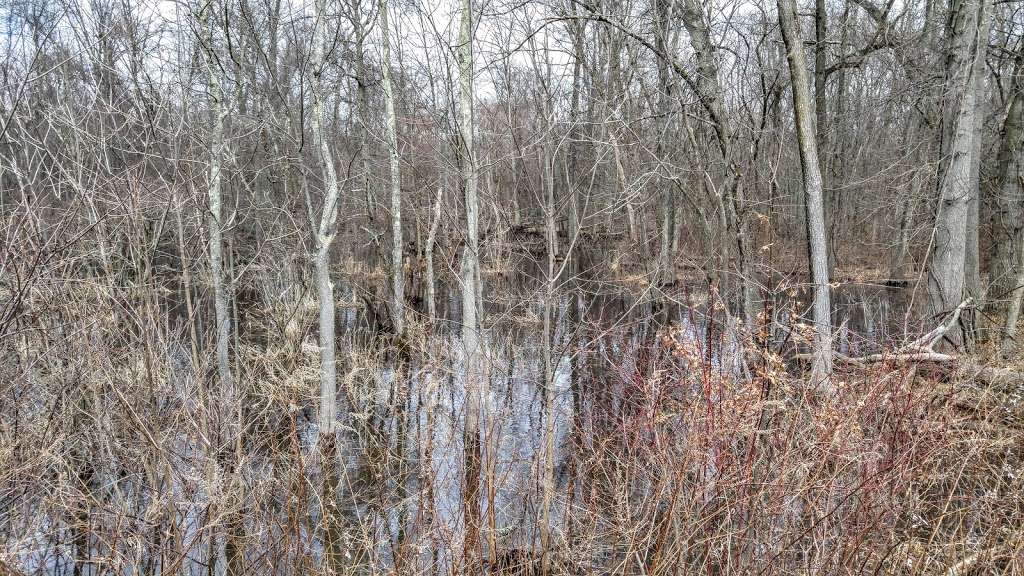 King George Wetlands Preserve | 453 King George Rd, Basking Ridge, NJ 07920, USA | Phone: (973) 532-9830