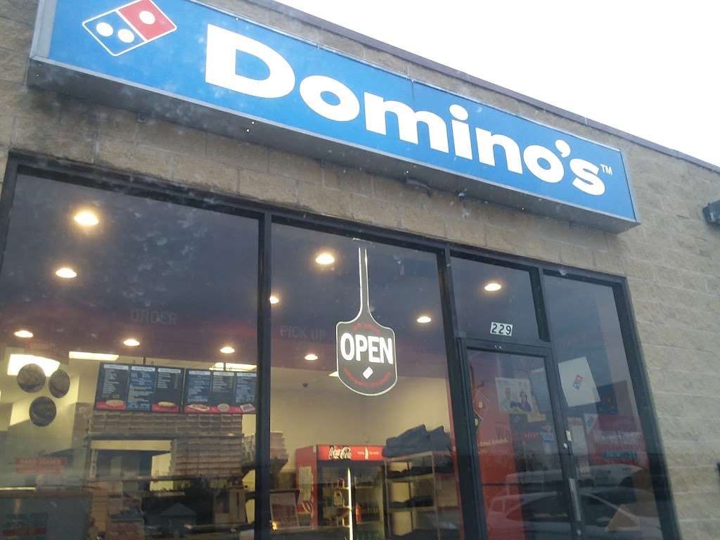 Dominos Pizza | 229 Barron Blvd Unit 3, Grayslake, IL 60030, USA | Phone: (847) 223-3300