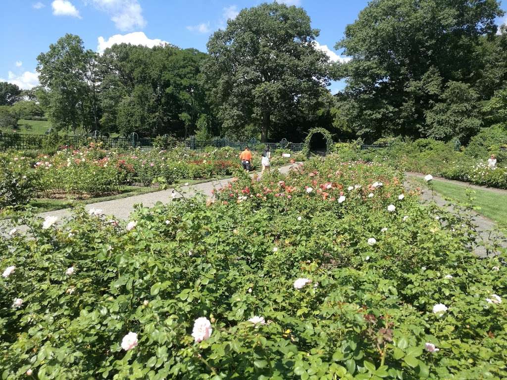 Rockefeller Rose Garden | Bronx River Pkwy, Bronx, NY 10467, USA | Phone: (718) 817-8700