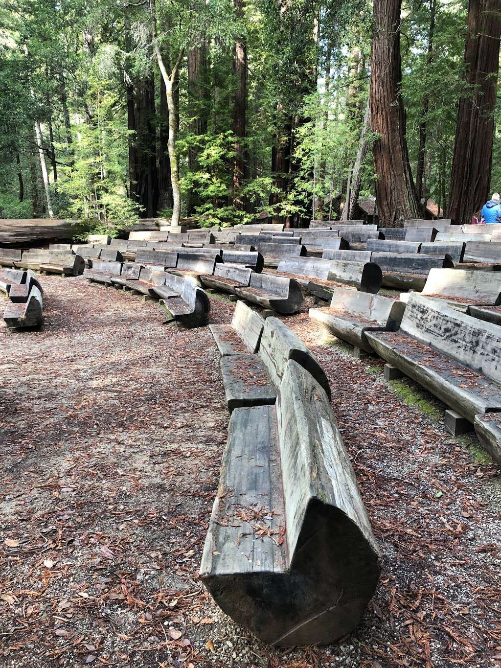 Big Basin Redwoods State Park Headquarters & Visitor Center | 21600 Big Basin Hwy, Boulder Creek, CA 95006, USA | Phone: (831) 338-8861