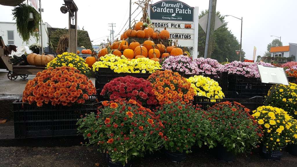 Darnells Garden Patch | 180 Caroline St, Orange, VA 22960, USA | Phone: (540) 672-1449