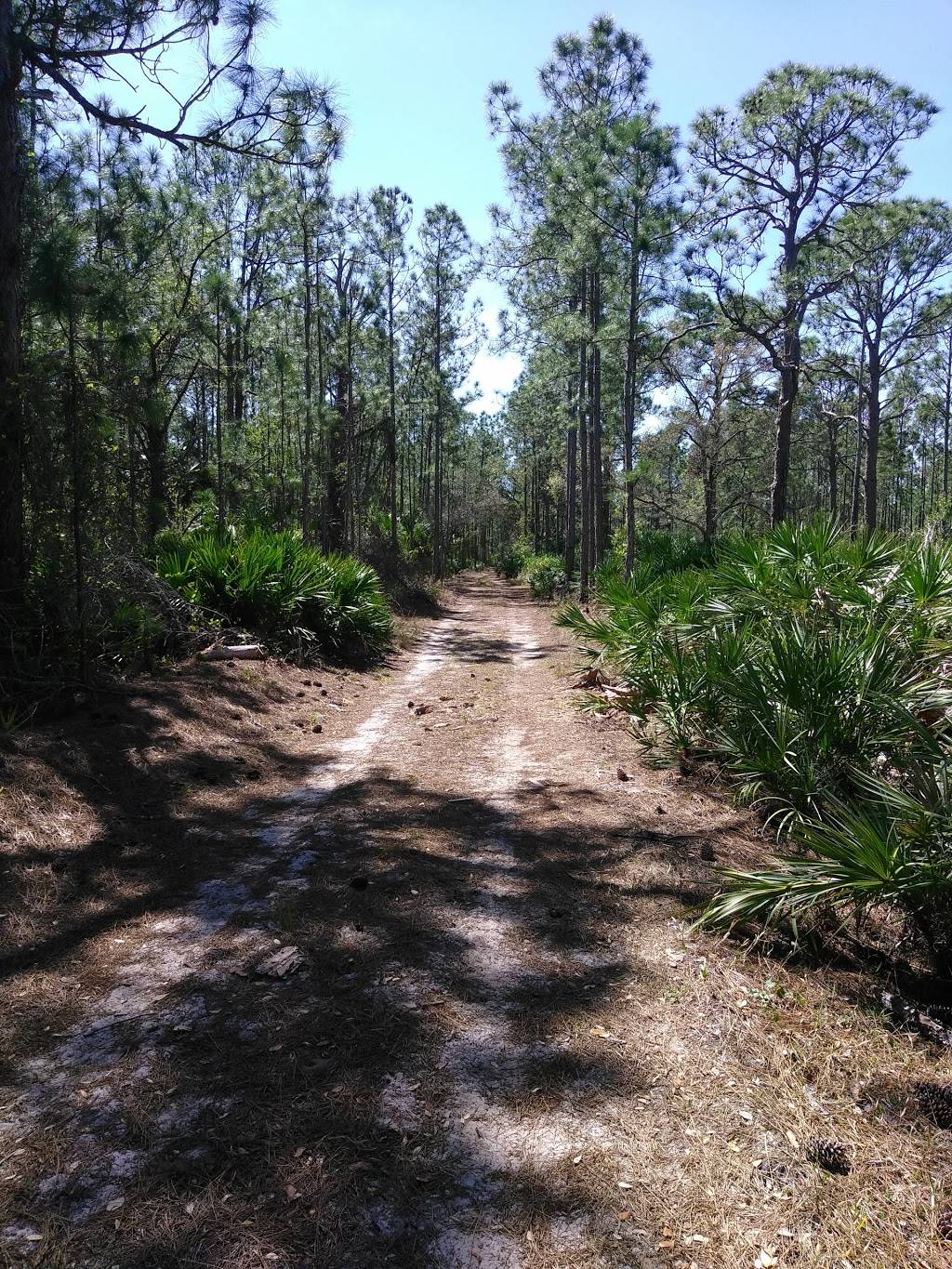 Micco Scrub Sanctuary | 9200-9298 Babcock St SE, Palm Bay, FL 32909, USA