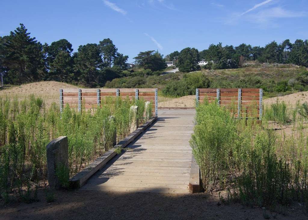 Merchant Marine Cemetery Vista Memorial | 1806 Hays Street, San Francisco, CA 94129, USA | Phone: (415) 561-4323