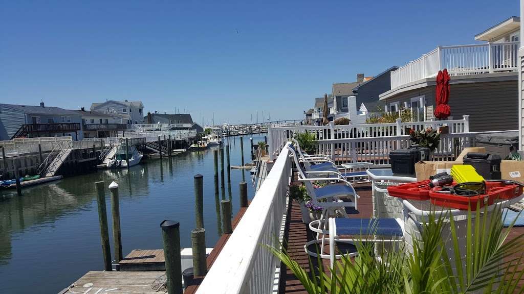 Pork Island Wildlife Management Area | Longport, NJ 08403, USA