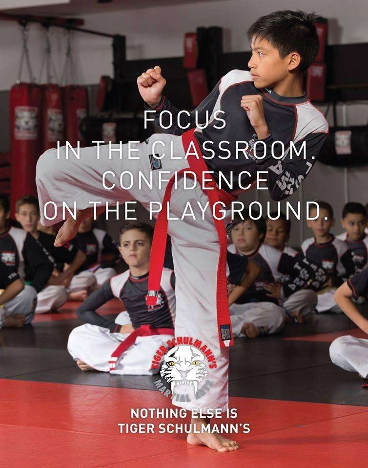 Tiger Schulmanns Martial Arts | 317 Windsor Hwy, New Windsor, NY 12553, USA | Phone: (845) 200-2048