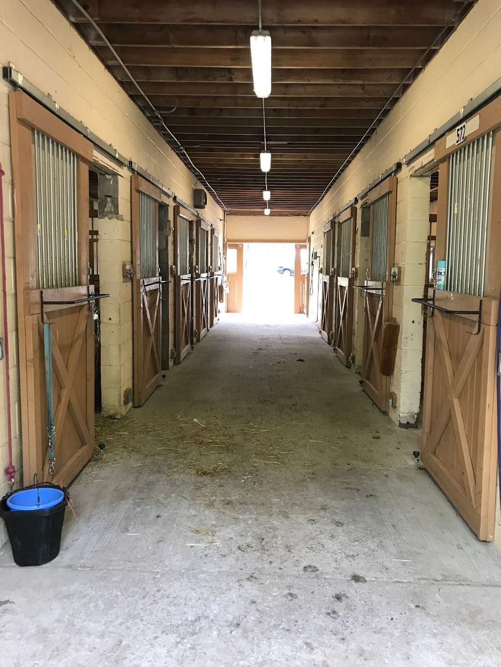 Sky Blue Stables | 52 Montrose Station Rd, Cortlandt, NY 10567, USA | Phone: (914) 305-2177