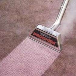 Carpet Cleaners Epping | 16 Sunnyside Rd, Epping CM16 4JW, UK | Phone: 07798 710668