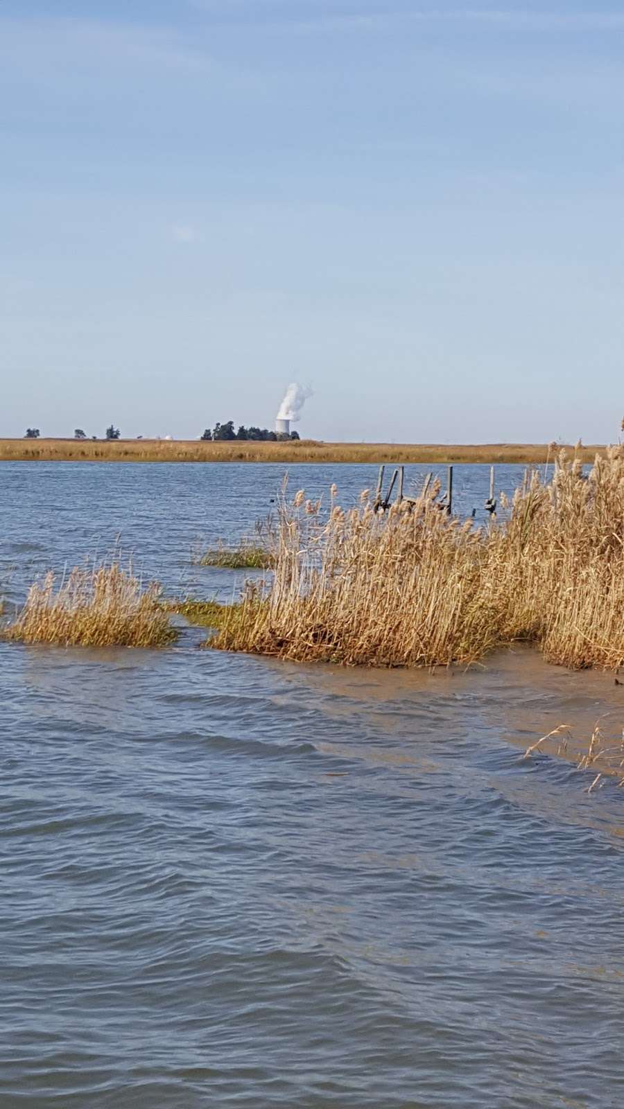 Cohansey River Wildlife Management Area | Bridgeton, NJ 08302, USA