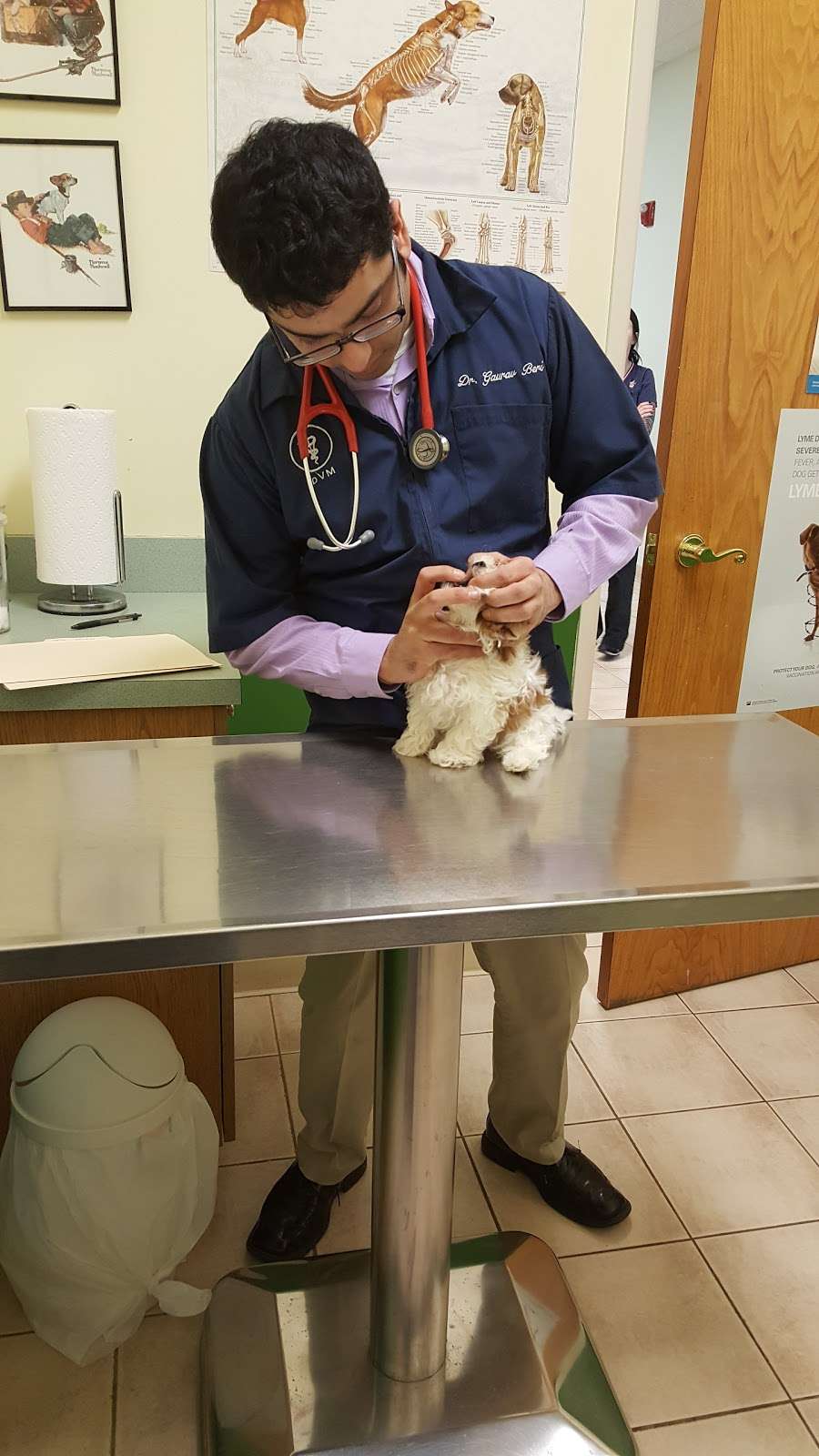 Crossroads Animal Hospital | 7154 Caton Farm Rd, Plainfield, IL 60586, USA | Phone: (815) 609-5444