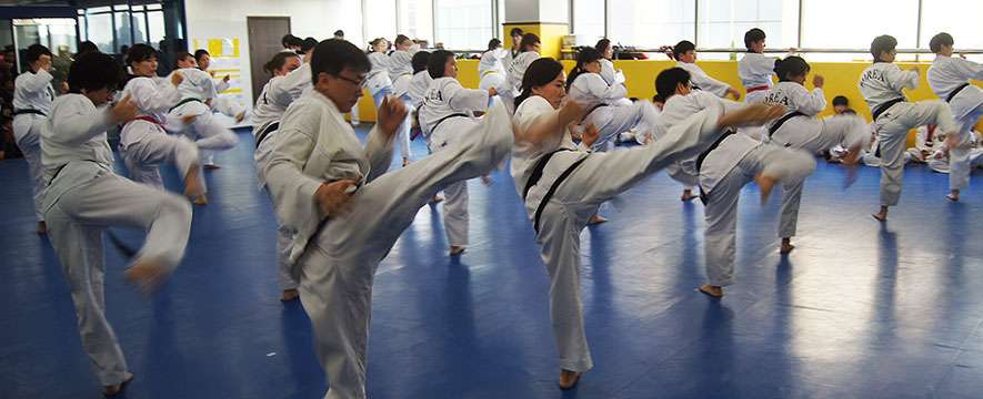 Jae H Kim Tae Kwon DO Institute | 57 Pond St, Ashland, MA 01721, USA | Phone: (508) 872-2400