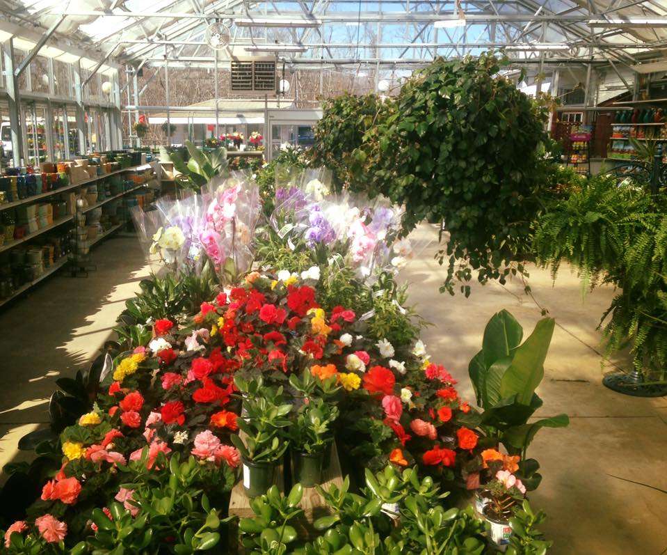 Brock Farms Home & Garden World | 4189 U.S. 9, Freehold, NJ 07728, USA | Phone: (732) 462-2700