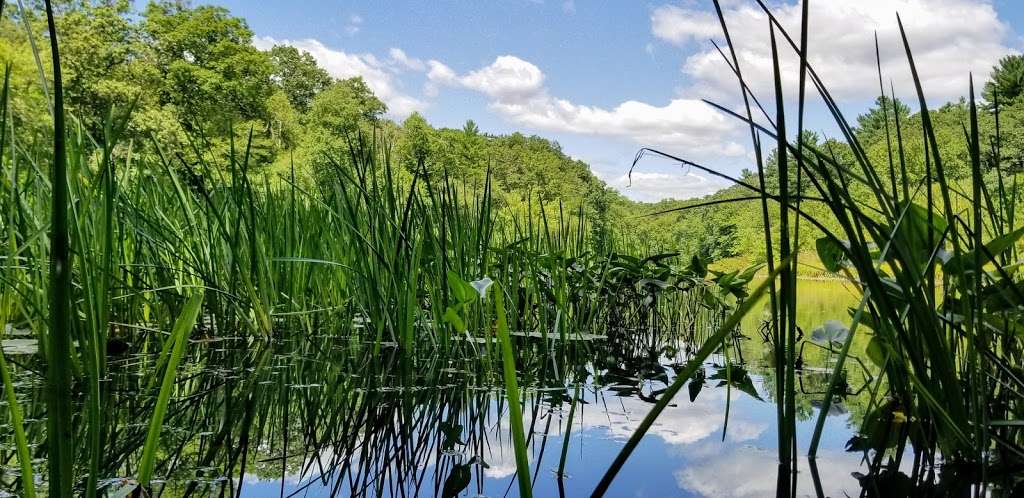 Stillwater Scenic Trail Parking | Stillwater Scenic Trail, Smithfield, RI 02917, USA