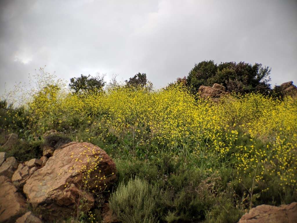 Penasquitos Creek Park Trail Head | 12048-11900 Camino Del Sur, San Diego, CA 92129, USA