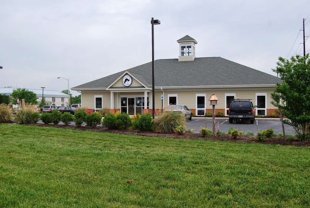 Wicomico Veterinary Hospital | 207 Executive Plaza, Salisbury, MD 21804, USA | Phone: (410) 742-7543