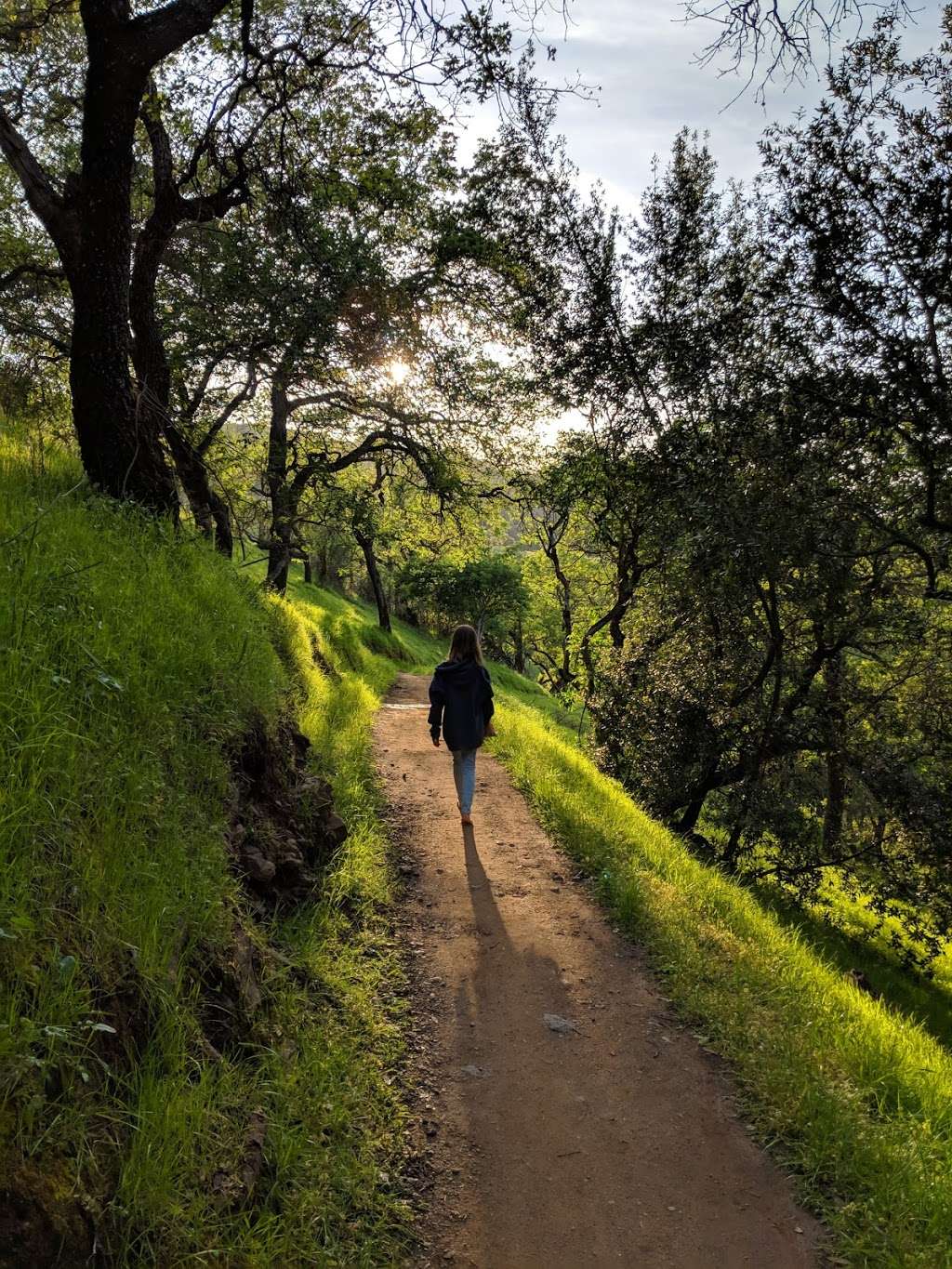 Coyote Valley Open Space Preserve | 550 Palm Ave, Morgan Hill, CA 95037, USA | Phone: (408) 224-7476