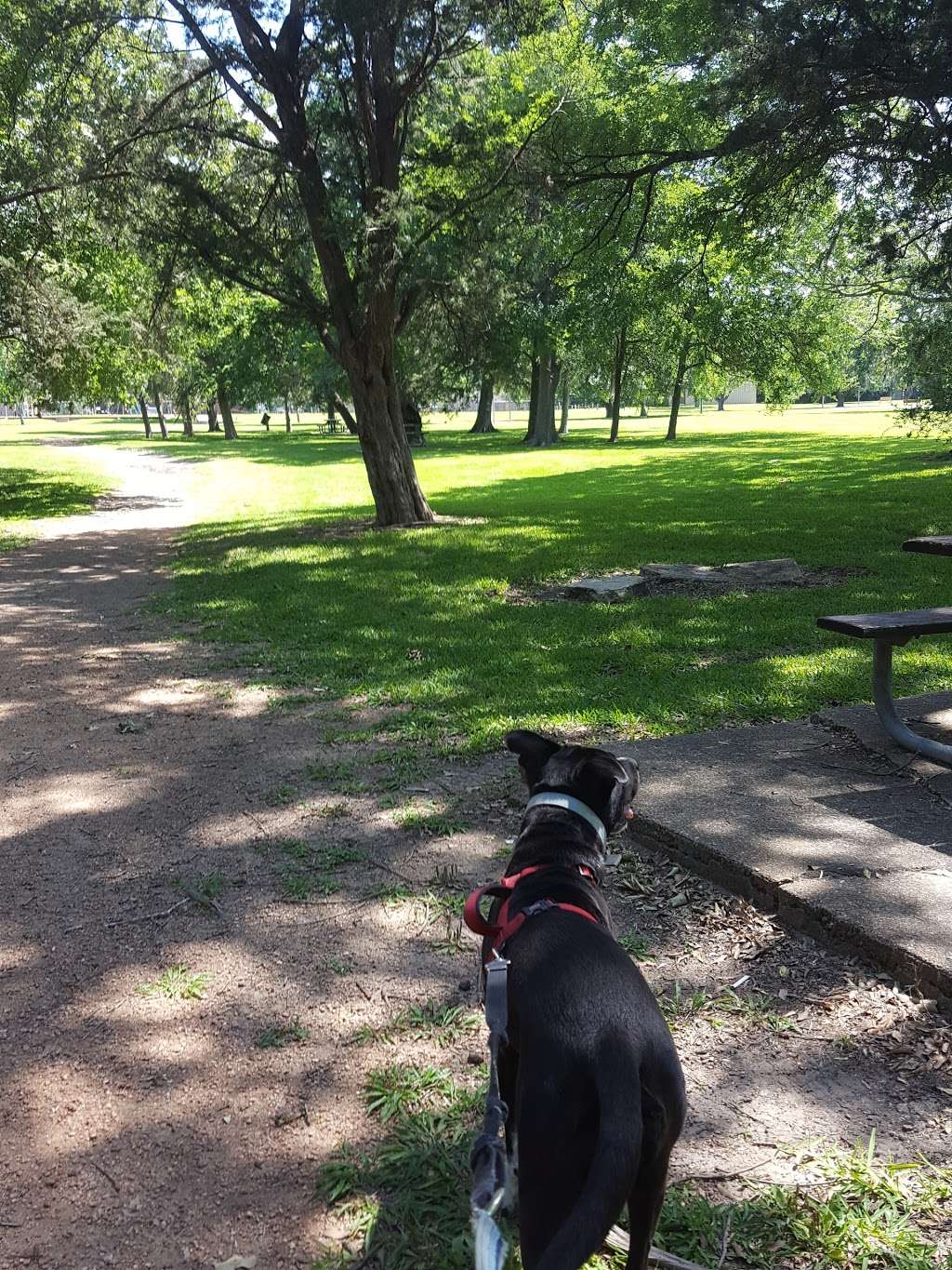 Forest Bend Park | 4300 Laura Leigh Dr, Friendswood, TX 77546, USA