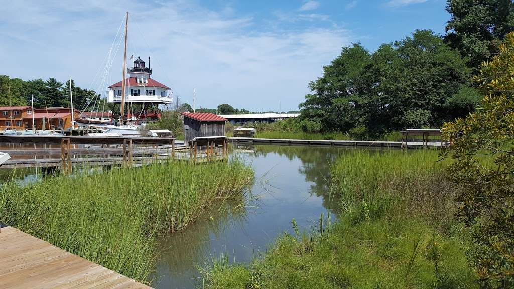 Calvert Marine Museum | 14200 Solomons Island Rd S, Solomons, MD 20688, USA | Phone: (410) 326-2042