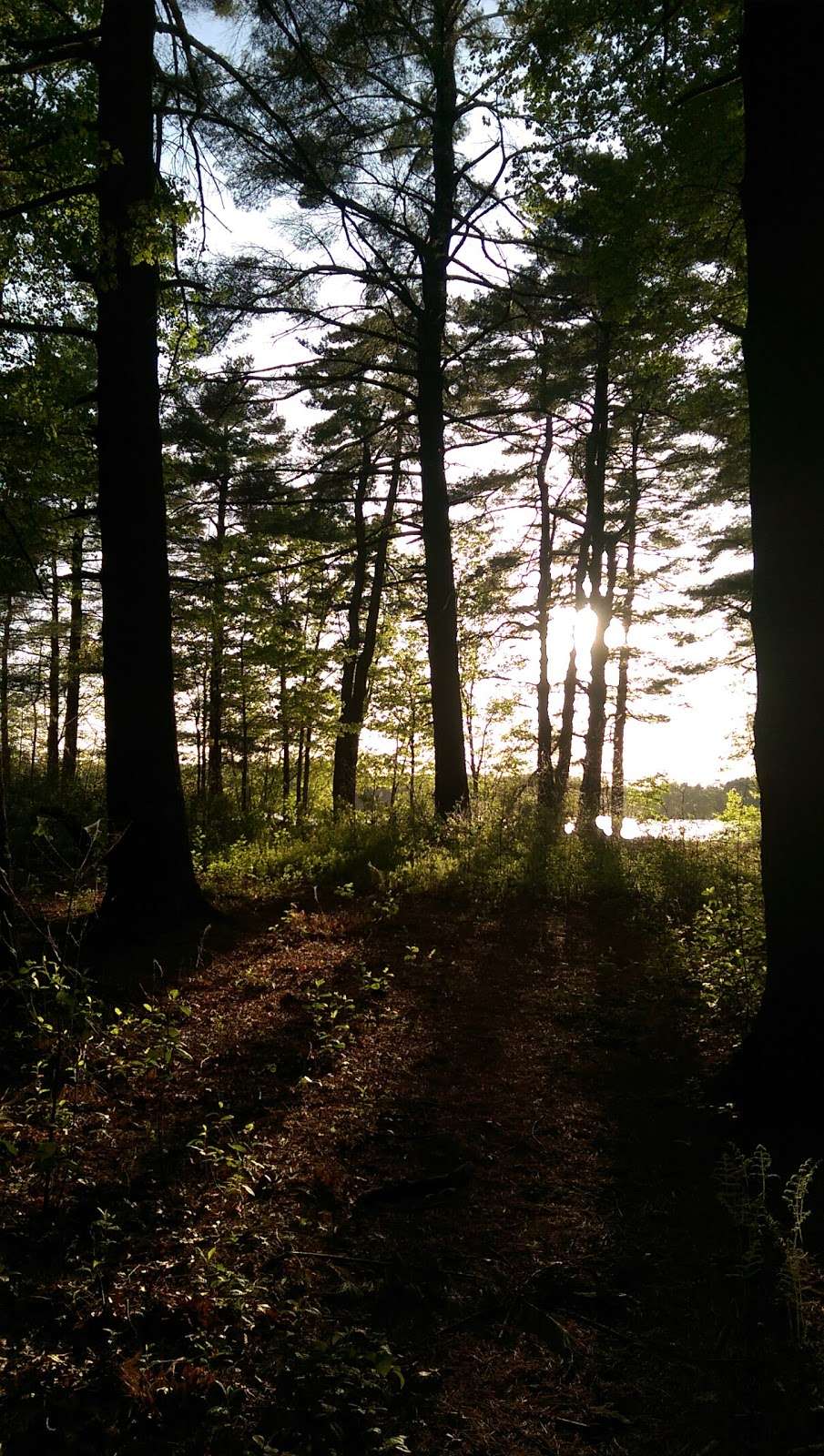 Norton Reservoir | Norton, MA 02766, USA