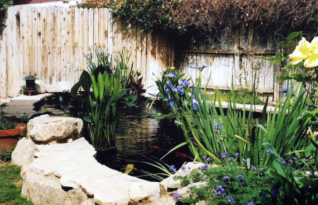 Backyard Pond LLC | 9433 N 71st Ave, Peoria, AZ 85345, USA | Phone: (623) 878-6695