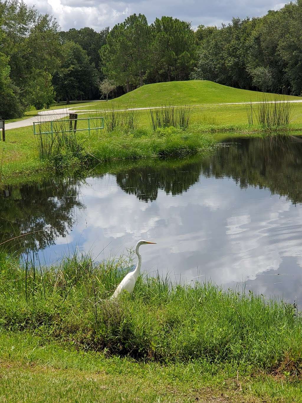 South Lake Howard Nature Park | 1570 Lake Howard Dr SW, Winter Haven, FL 33880, USA