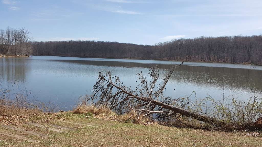 Kingfisher Overlook | Gaithersburg, MD 20878, USA