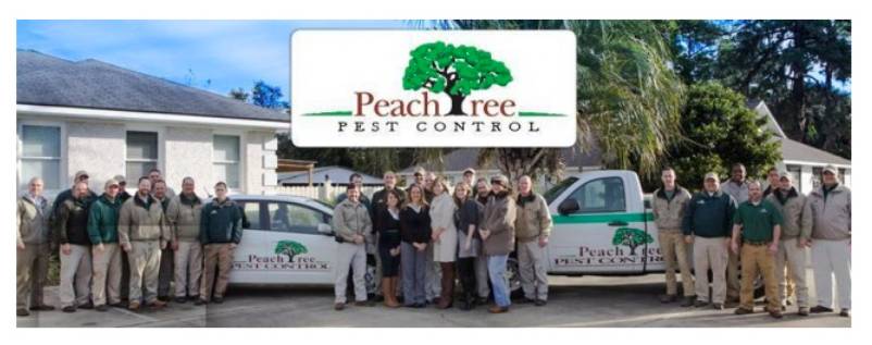Peachtree Pest Control | 1351 Airport Rd suite p, Jacksonville, FL 32218, USA | Phone: (904) 261-7002