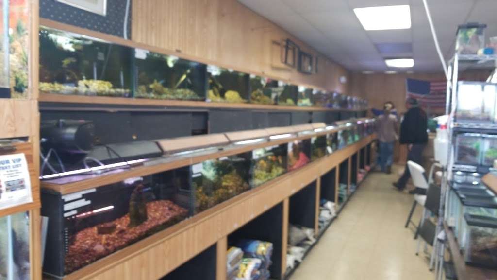 Birds & Beasts Pet Shop | 35 Berkshire Dr # 18, Crystal Lake, IL 60014, USA | Phone: (815) 477-7387