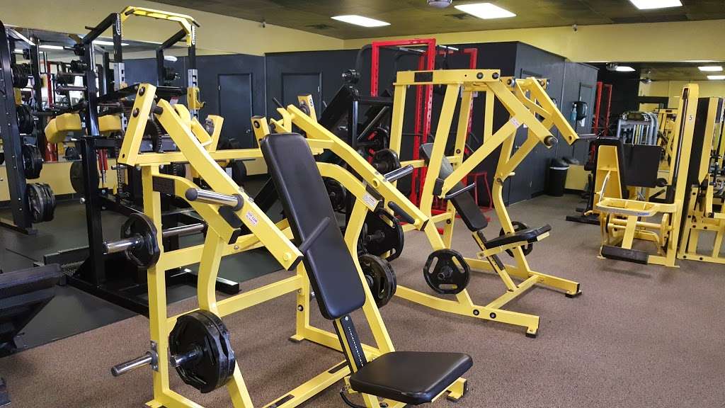 Muscle Central Gym | 7020 Cypress Gardens Blvd, Winter Haven, FL 33884, USA | Phone: (863) 299-2715