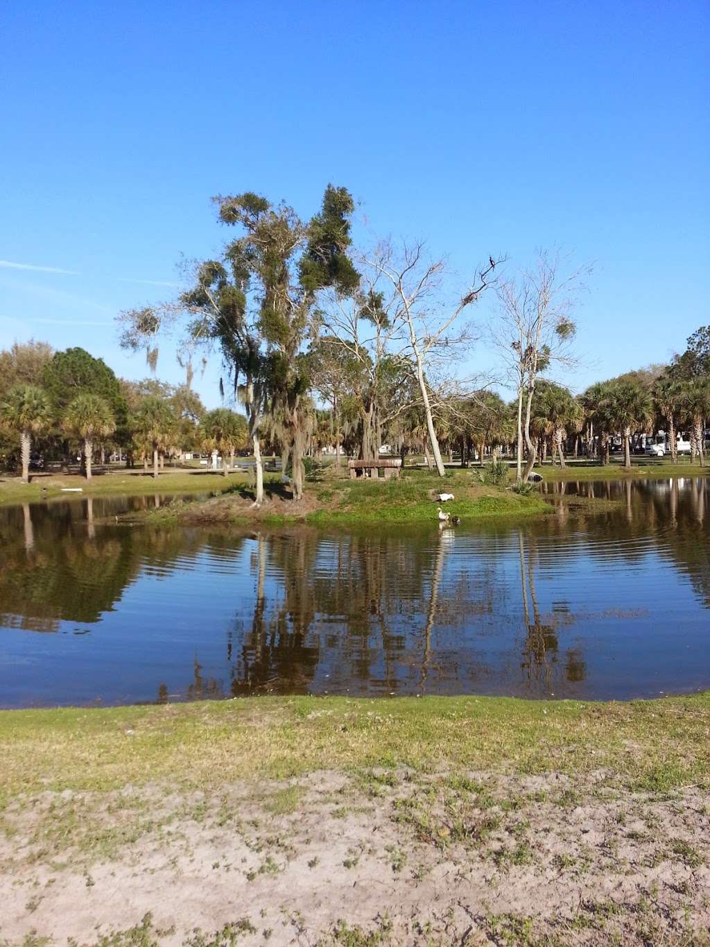 East Lake Fish Camp | 3705 Big Bass Rd, Kissimmee, FL 34744, USA | Phone: (407) 348-2040