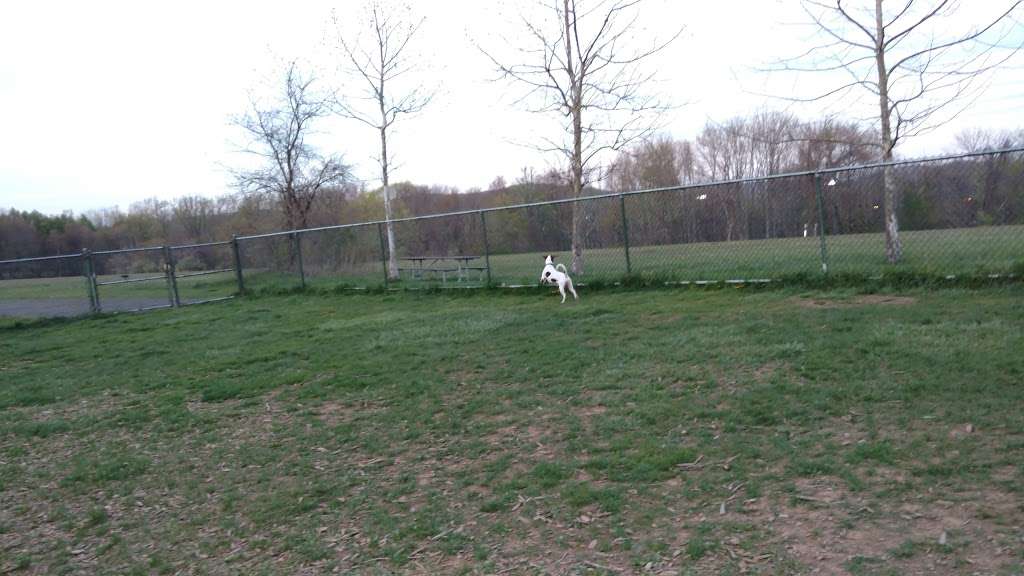 Kennedy Dells Dog Park | Zukor Rd, New City, NY 10956, USA | Phone: (845) 364-2670