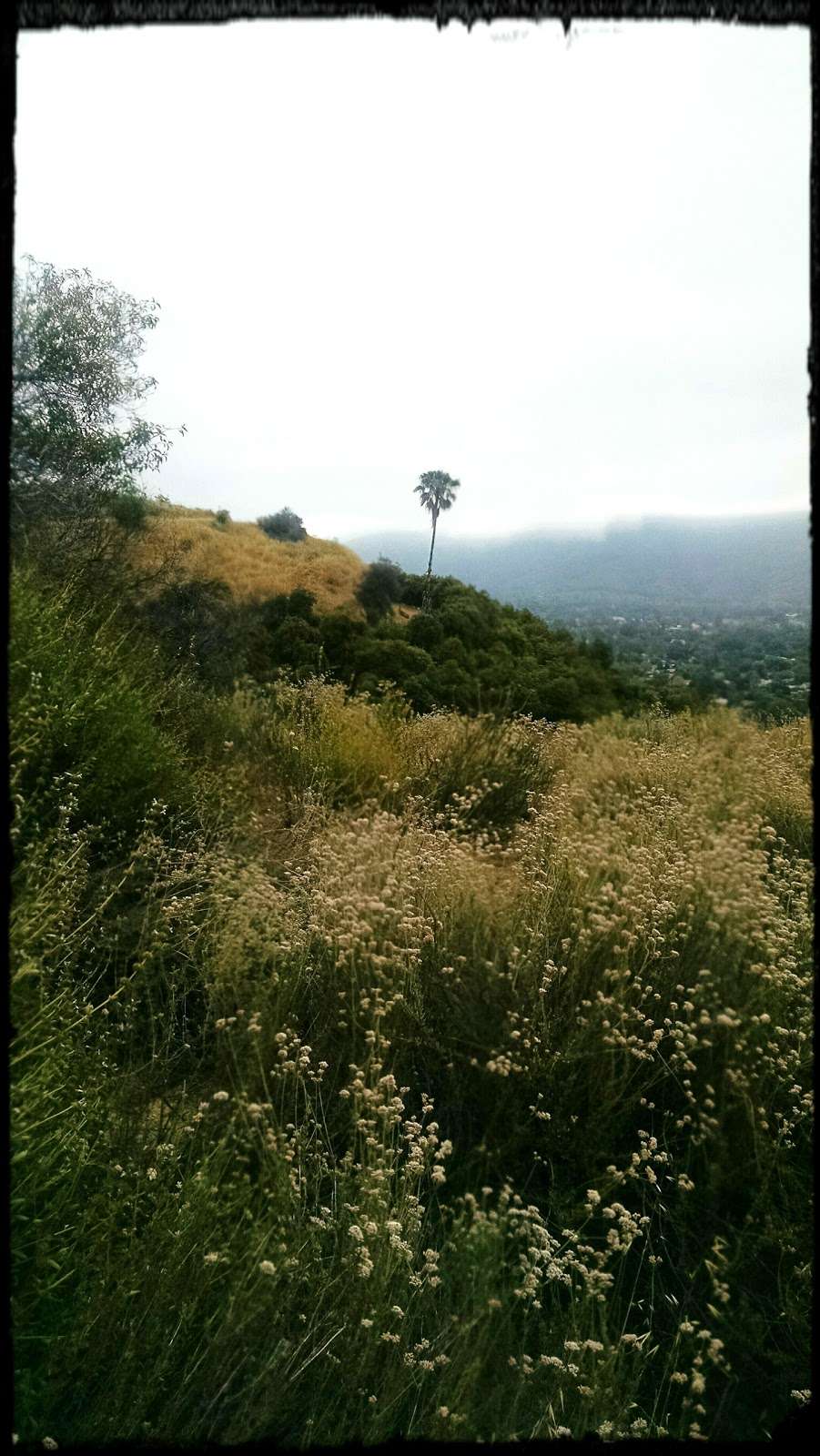 Valley View Preserve Lucis Trailhead | Shelf Rd, Ojai, CA 93023, USA | Phone: (805) 649-6852