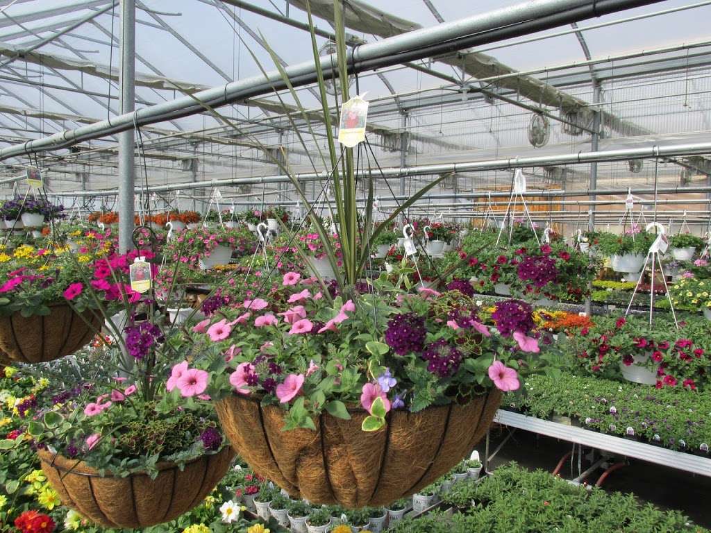 Wengers Greenhouse | 150 Wissler Rd, Lititz, PA 17543, USA | Phone: (717) 733-8658