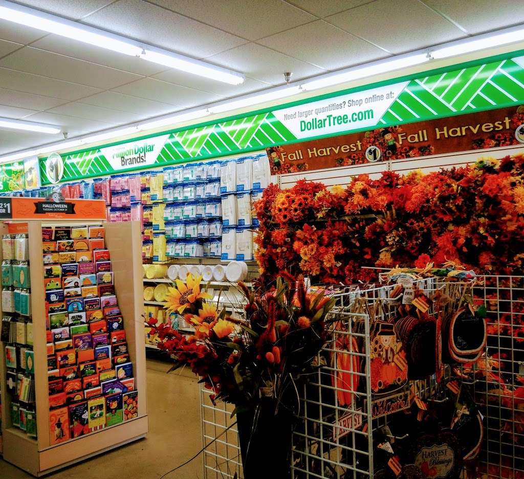 Dollar Tree | 1928 Dempster Street, Evanston, IL 60202, USA | Phone: (847) 866-7450