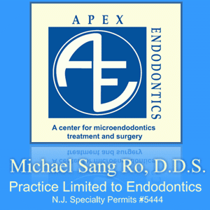 Apex Endodontics: Michael Sang Ro DDS | 1617, 446 NY-304 suite b, Bardonia, NY 10954, USA | Phone: (845) 694-3626