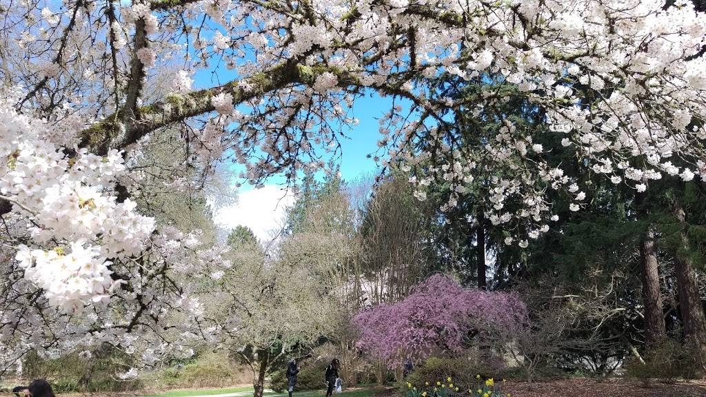 Washington Park Arboretum UW Botanic Gardens | 2300 Arboretum Dr E, Seattle, WA 98112, USA | Phone: (206) 543-8800