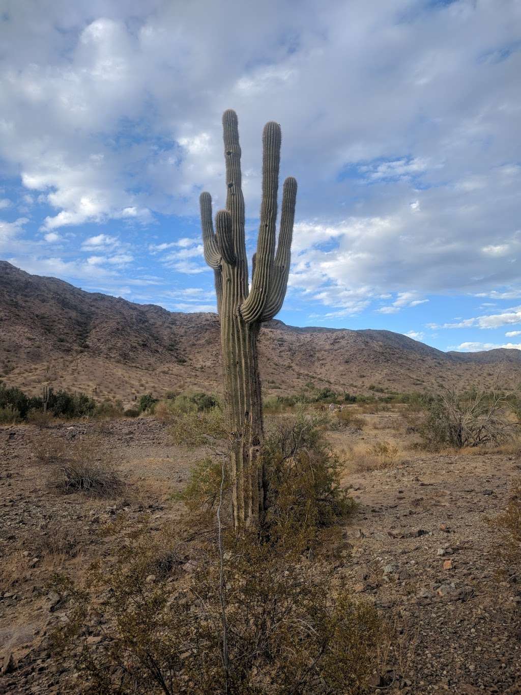 Pyramid Trailhead Parking Lot | 15200-15498 S 19th Ave, Phoenix, AZ 85045, USA