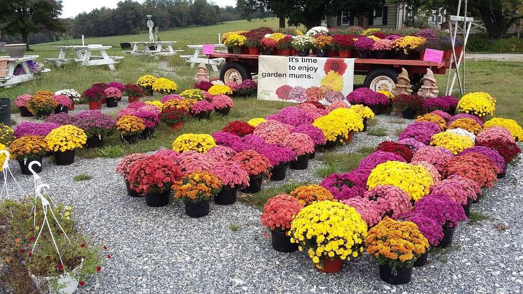 Scarecrow Farm | 2178 Orwig Rd, Stewartstown, PA 17363, USA | Phone: (717) 781-3625