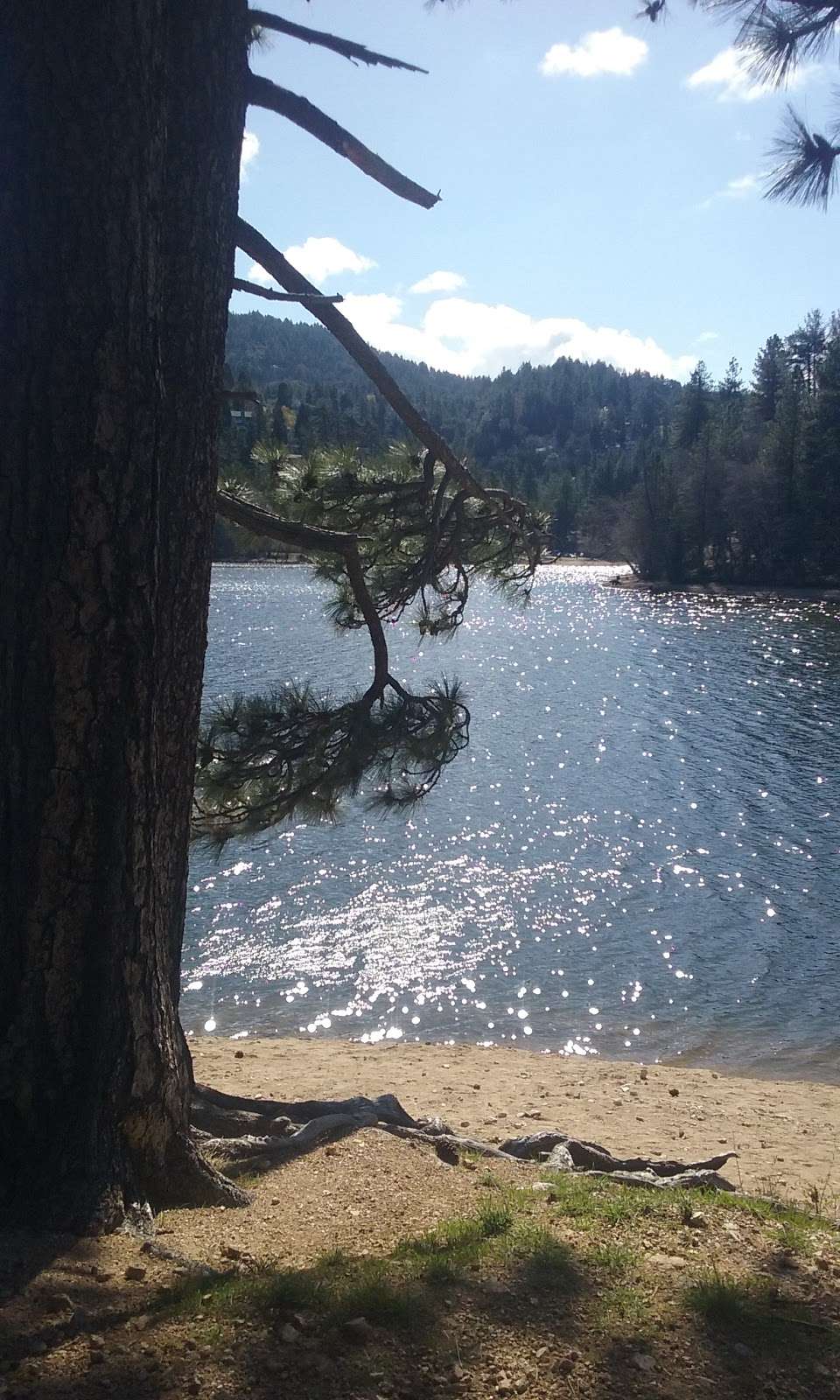 Lake Gregory Regional Park | 24171 Lake Dr, Crestline, CA 92325, USA | Phone: (909) 338-2233