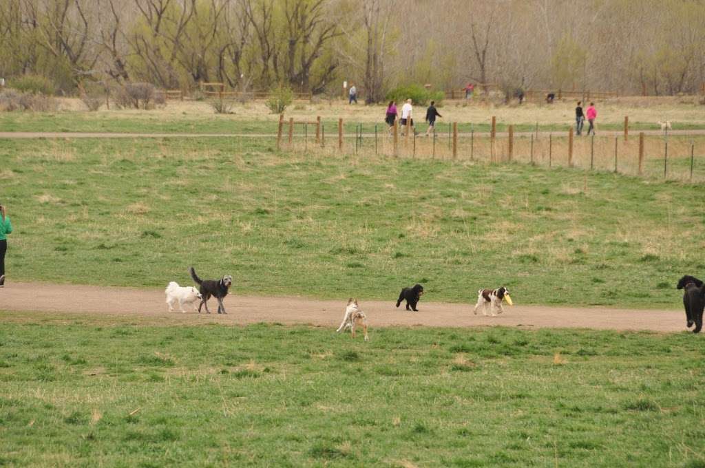 Cherry Creek ​Dog Of​f Leash Area (DOLA) | S Entrance Rd, Aurora, CO 80015, USA | Phone: (303) 690-1166