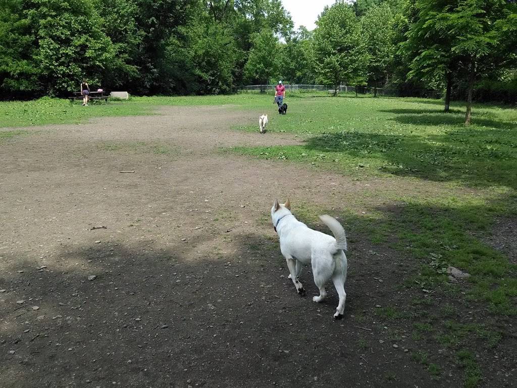 Frick Park Off-Leash Exercise Area | Pittsburgh, PA 15217, USA | Phone: (412) 255-2539