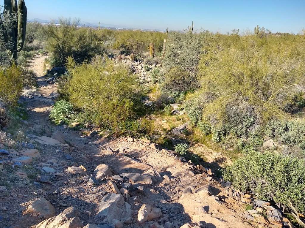 McDowell Sonoran Preserve | Saguaro Loop Trail, Scottsdale, AZ 85255, USA