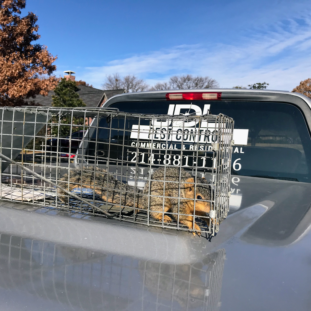 JDL Pest Control LLC | 132 Lorene Dr, Red Oak, TX 75154, USA | Phone: (214) 881-1196