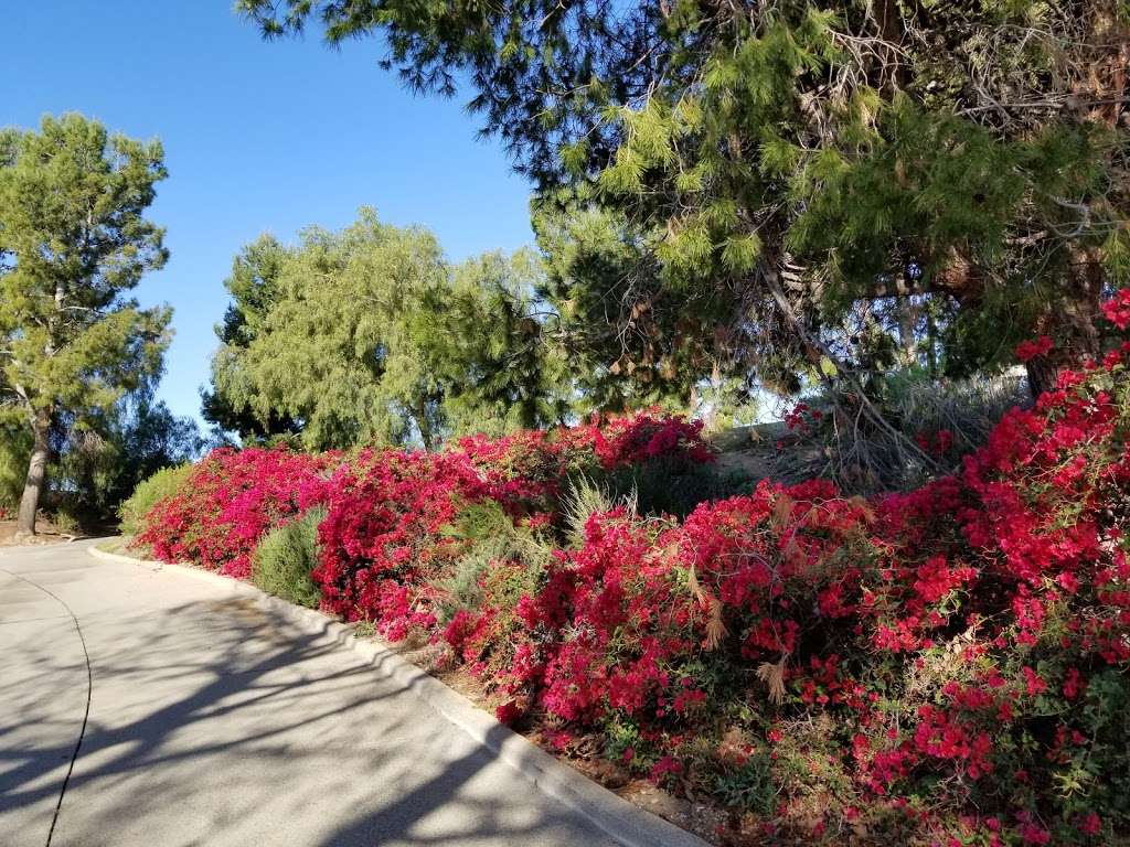 Panorama Nature Preserve | 1903 St Simons Pl, Fullerton, CA 92831, USA