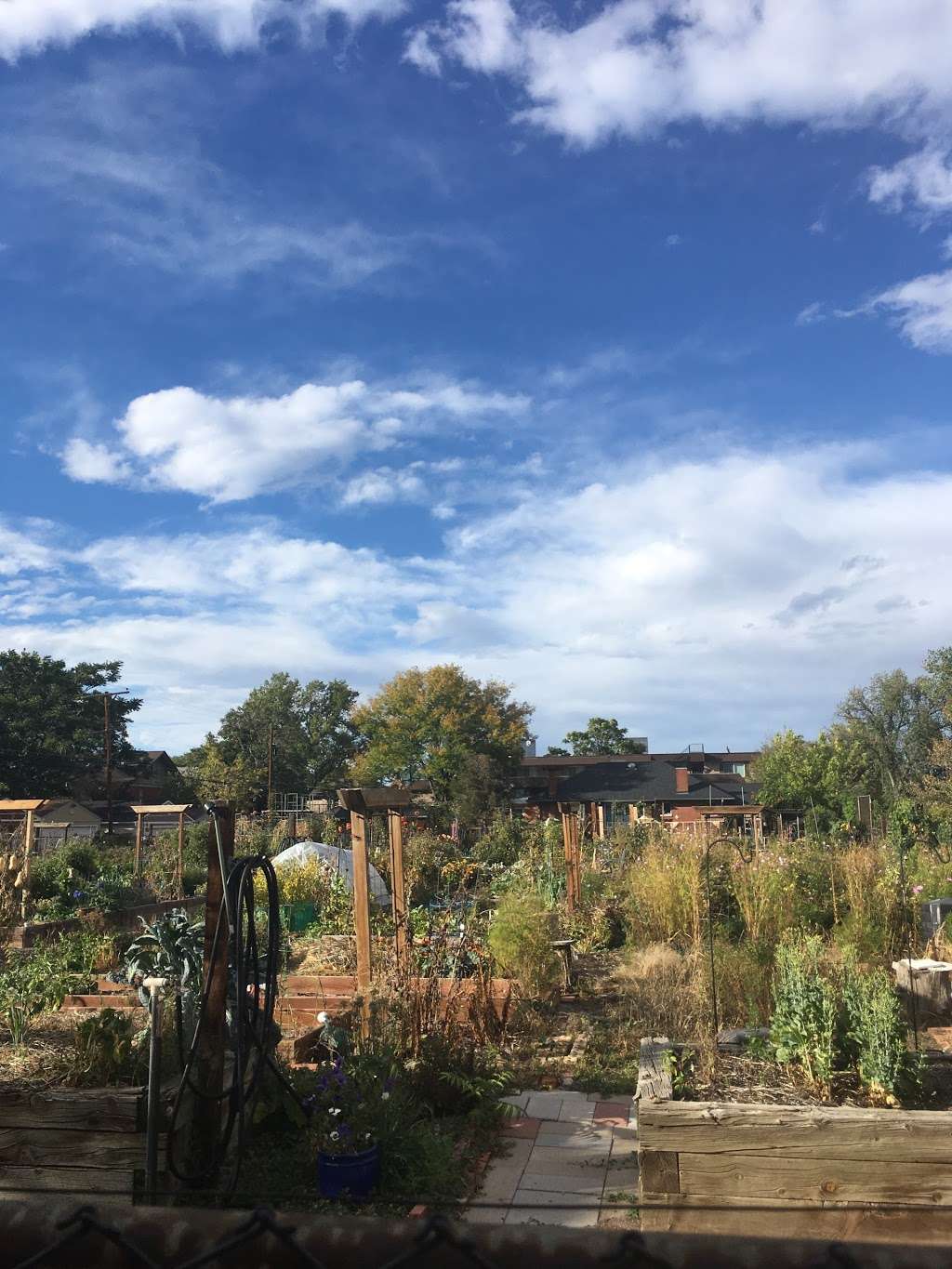 West Washington Park Community Garden | 201 Grant St, Denver, CO 80203, USA