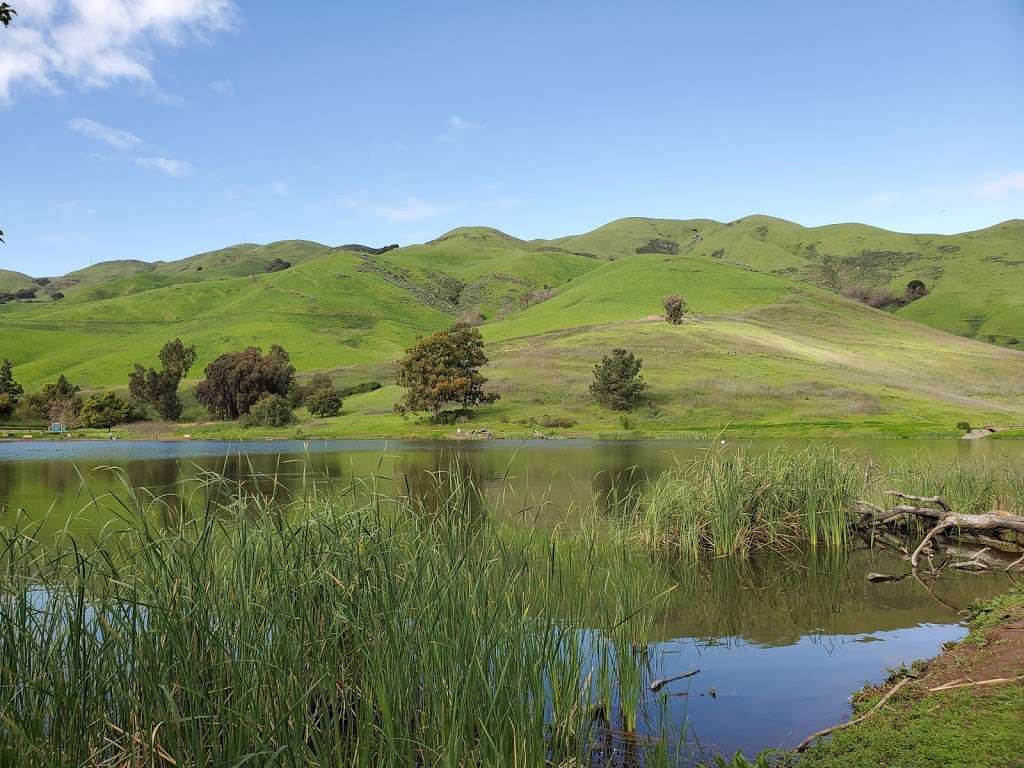 Ed R. Levin County Park | 3100 Calaveras Rd, Milpitas, CA 95035, USA | Phone: (408) 262-6980