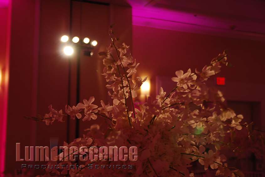 Luminescence Production Services | 300 S 8th St b, New Hyde Park, NY 11040, USA | Phone: (718) 850-5864