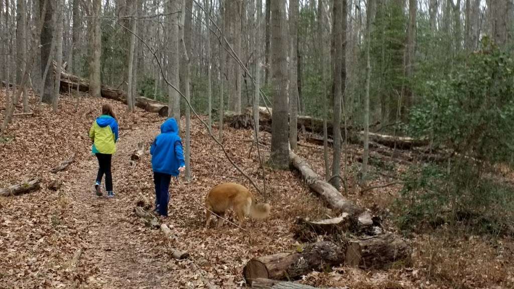 Walker Nature Center Campfire Ring | The Turquoise Trail, Reston, VA 20191, USA