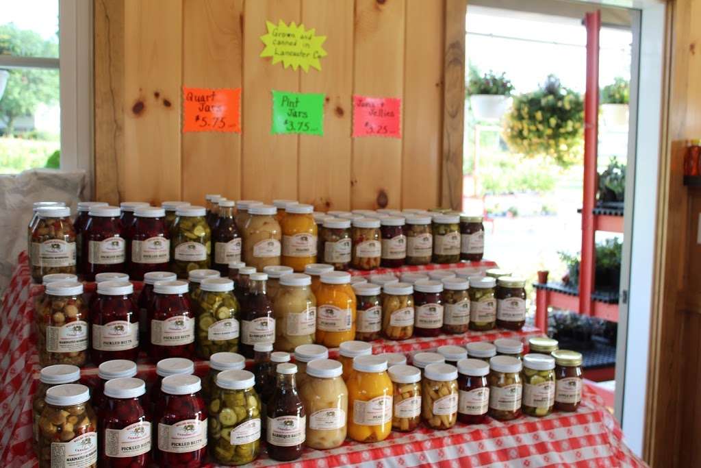 Hammond School Farm Market | 9496, 661 Ranck Rd, New Holland, PA 17557, USA | Phone: (717) 354-8114